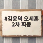 김윤덕 오세훈 2차 회동