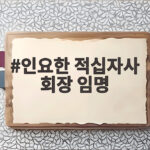 인요한 적십자사 회장 임명 대통령 임명 앞두고 논란과 반대가 거세진 이유 인요한 적십자사 회장 임명