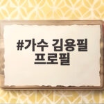 가수 김용필 프로필 아나운서에서 트로트 가수로 변신한 이야기 가수 김용필 프로필