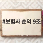 보험사 순익 9조 돌파했지만 생보 본업 손익은 줄고 손보는 늘어 보험사 순익 9조
