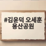 김윤덕 오세훈 용산공원