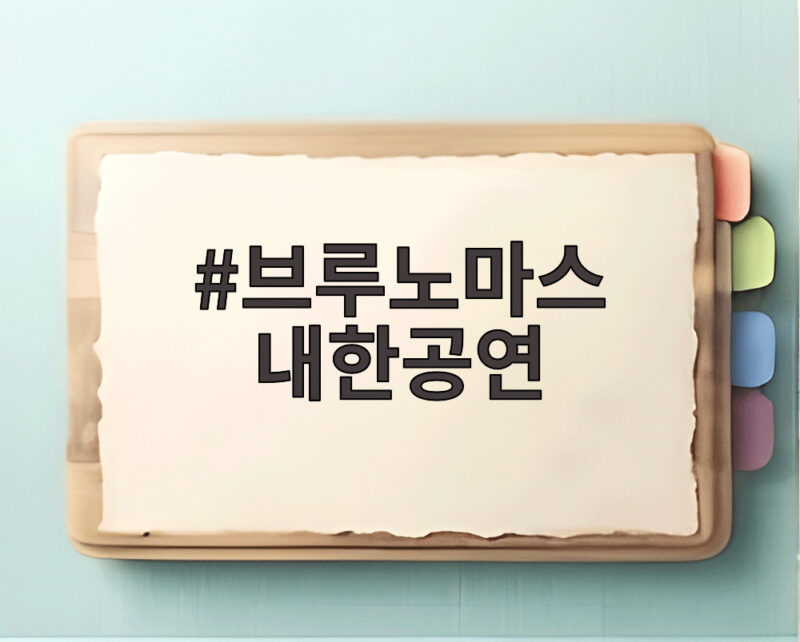 브루노마스 내한공연