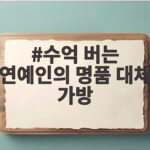 수억 버는 연예인의 명품 대체 가방, 명품 포기할 수밖에 없는 이유 수억 버는 연예인의 명품 대체 가방