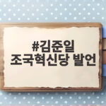 김준일 조국혁신당 발언, 민혁당 사형드립 파문과 사과까지 김준일 조국혁신당 발언