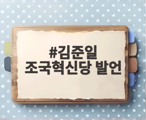 김준일 조국혁신당 발언