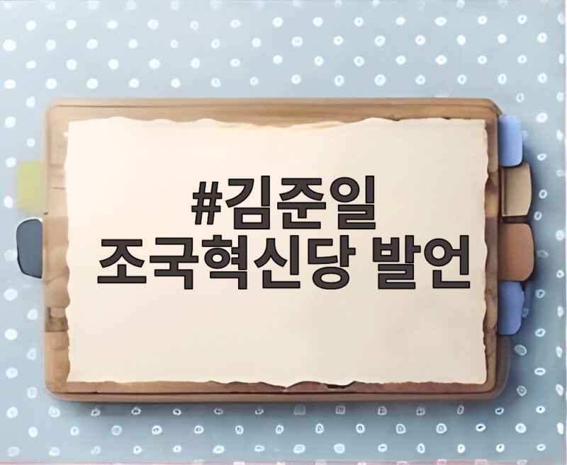 김준일 조국혁신당 발언, 민혁당 사형드립 파문과 사과까지 1 김준일 조국혁신당 발언