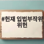 헌재 입법부작위 위헌 결정 국내 출생 외국인 아동의 출생등록 권리 첫 인정 헌재 입법부작위 위헌