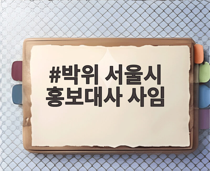 박위 서울시 홍보대사 사임