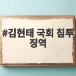 김현태 국회 침투 징역 12년 선고와 법정구속의 의미 김현태 국회 침투 징역