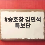 송호창 김민석 특보단