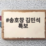 송호창 김민석 특보 임명으로 보여준 민주당 통합 전략의 핵심 포인트와 시사점 송호창 김민석 특보