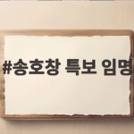 송호창 특보 임명으로 본 민주당 대미외교 전략 송호창 특보 임명