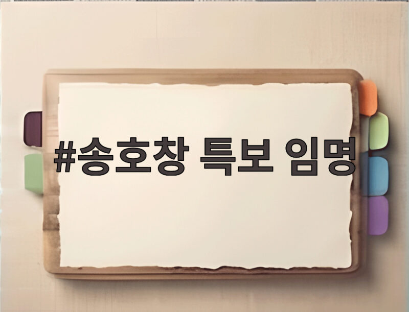 송호창 특보 임명으로 본 민주당 대미외교 전략 1 송호창 특보 임명