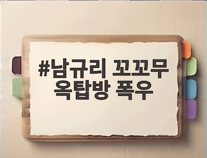 남규리 꼬꼬무 옥탑방 폭우 고백, 놀라운 사연은? 1 남규리 꼬꼬무 옥탑방 폭우