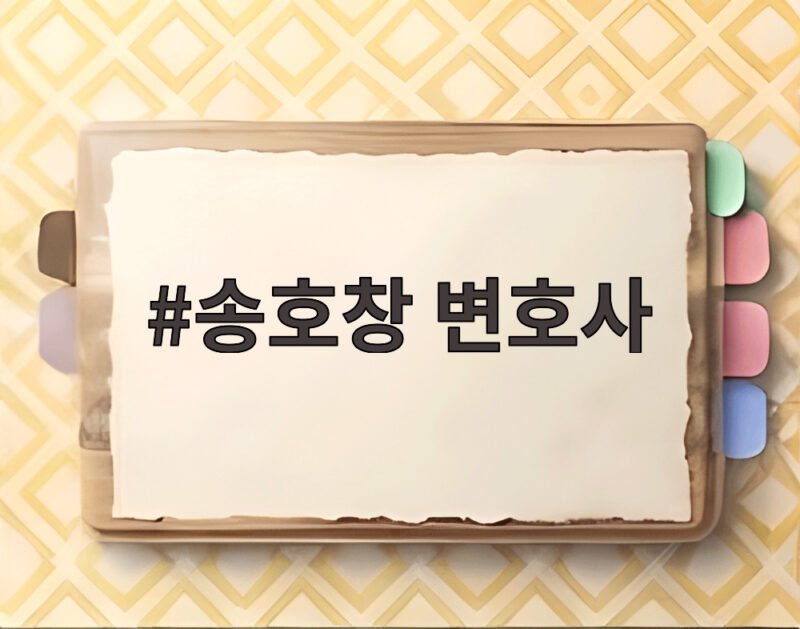 송호창 변호사 민주당 대미외교 특보 임명의 배경과 활동 전망 1 송호창 변호사