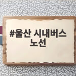 울산 시내버스 노선
