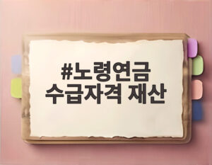 노령연금 수급자격 재산