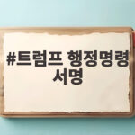 트럼프 행정명령 서명 중국산 전력장비 금지 실제 산업에 미치는 영향과 전망 트럼프 행정명령 서명