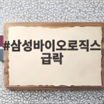 삼성바이오로직스 급락, 3조 유상증자가 불러온 투자자들의 고민 삼성바이오로직스 급락