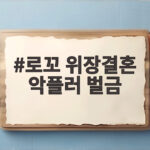 로꼬 위장결혼 악플러 벌금 500만원 법원이 인정한 진실 로꼬 위장결혼 악플러 벌금