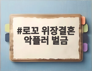 로꼬 위장결혼 악플러 벌금