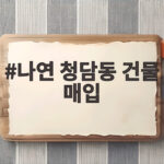 나연 청담동 건물 매입, 95억 투자와 숨은 의도 나연 청담동 건물 매입
