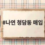 나연 청담동 매입 95억 건물의 투자 가치와 시장 전망 나연 청담동 매입