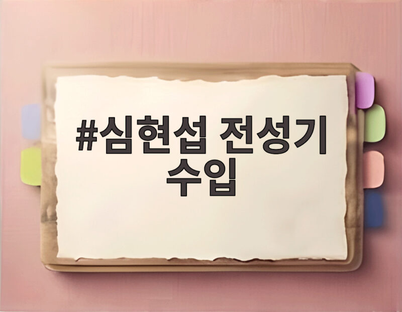 심현섭 전성기 수입