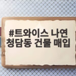 트와이스 나연 청담동 95억 건물 매입, 전문가 분석을 들어보니 트와이스 나연 청담동 건물 매입