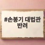 손봉기 대법관 반려