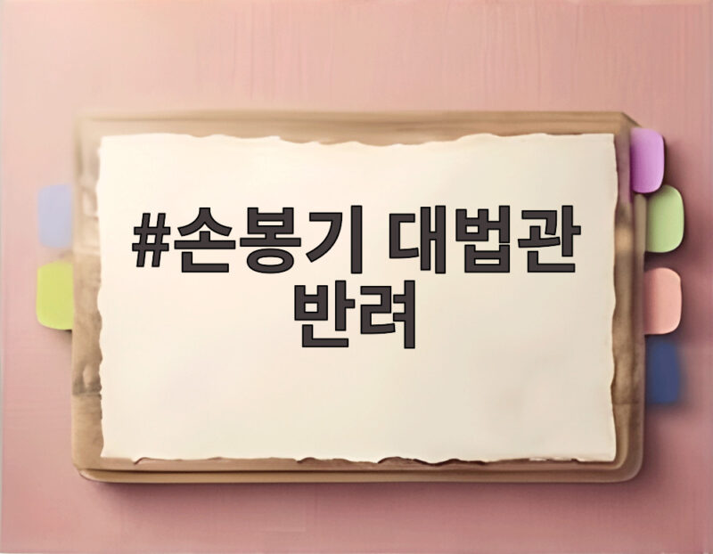 손봉기 대법관 반려 사태의 쟁점과 향후 전개 방향 살펴보기 1 손봉기 대법관 반려