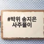 박위 송지은 사주풀이