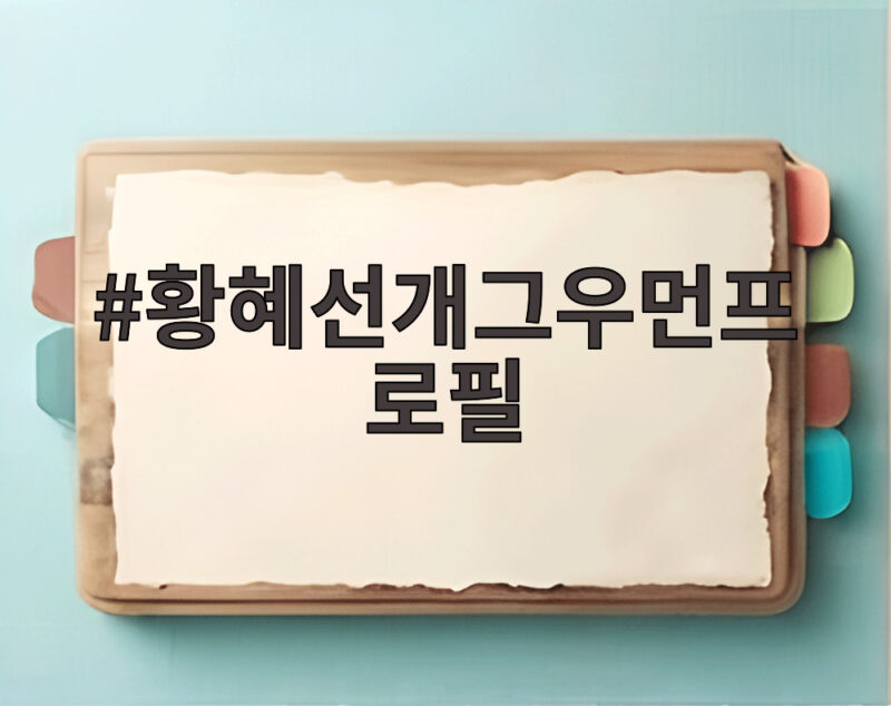황혜선개그우먼프로필