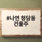 나연 청담동 건물주