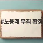 노웅래 무죄 확정 검찰 상고 포기 한동훈 정치적 파장과 향후 전망 노웅래 무죄 확정