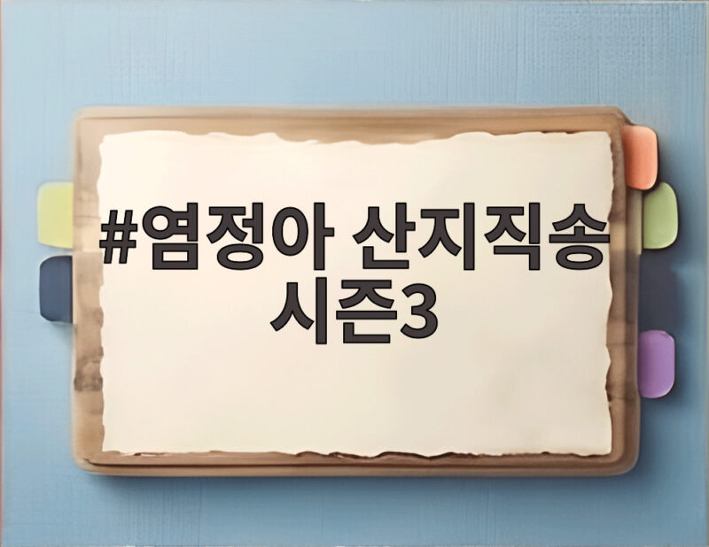 염정아 산지직송 시즌3 태안에서 바지락 캐고 마늘 수확하며 웃음 가득 1 염정아 산지직송 시즌3