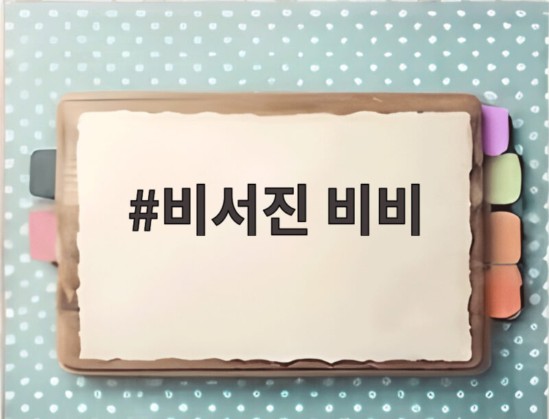 비서진 비비