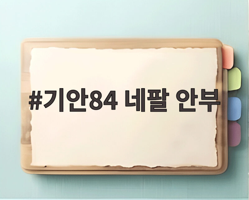 기안84 네팔 안부
