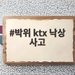 박위 KTX 낙상 사고 CCTV 공개 이후 벌어진 논란과 동창들의 반박 박위 ktx 낙상 사고