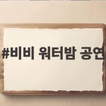 비비 워터밤 공연