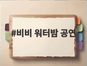 비비 워터밤 공연