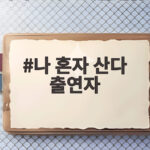 나 혼자 산다 출연자 전현무 즉흥 여행 논란 진짜 문제는 나 혼자 산다 출연자