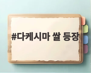 다케시마 쌀 등장