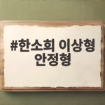 한소희 이상형 안정형