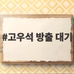 고우석 방출 대기, 미네소타에서도 빅리그 재진입 기회를 잡을 수 있을까 고우석 방출 대기