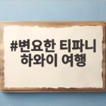변요한 티파니 하와이 여행