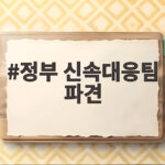 정부 신속대응팀 파견