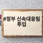 정부 신속대응팀 투입