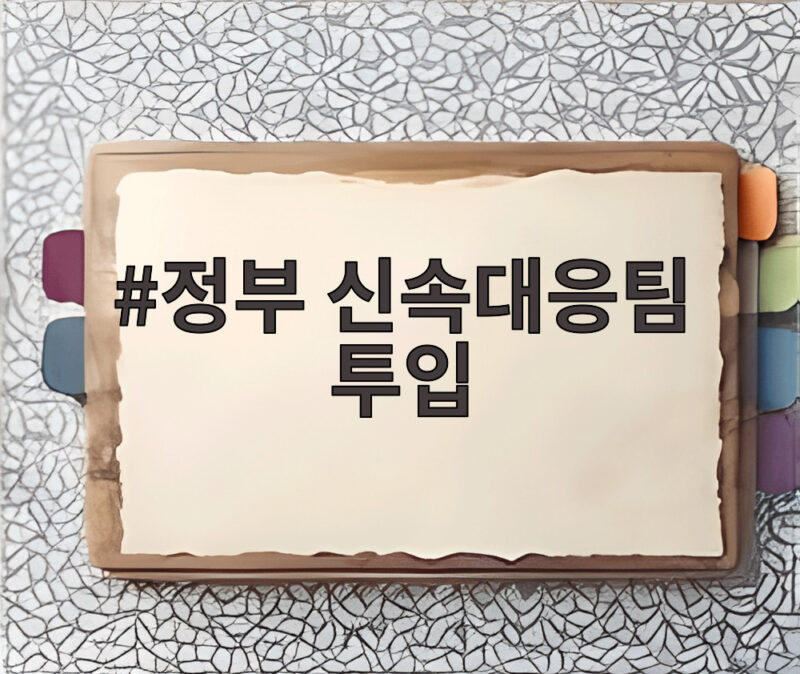 정부 신속대응팀 투입 네팔 대홍수 실종자 수색 상황과 향후 일정 1 정부 신속대응팀 투입