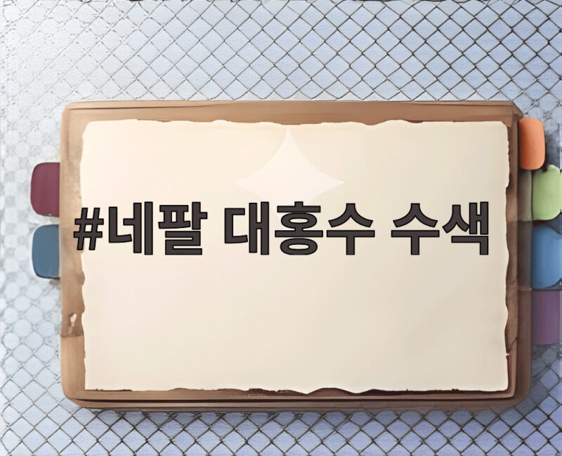 네팔 대홍수 수색